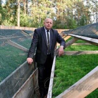 «Секрет успіху? Ліс злодіїв не любить!» —  пояснює директор Чернігівського військового лісництва  Cергій Сезоненко